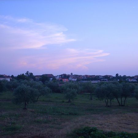 אומאג Apartments Zdravac מראה חיצוני תמונה