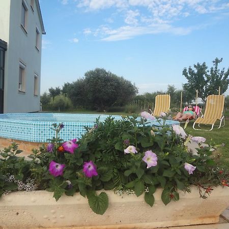 אומאג Apartments Zdravac מראה חיצוני תמונה